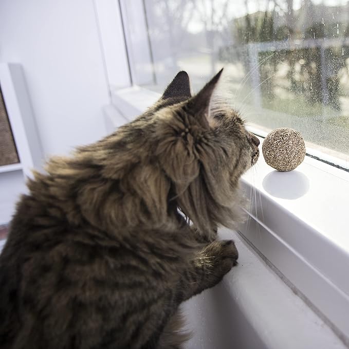 SmartyKat Catnip Kiss Compressed Catnip Ball Toy - Natural, One Size