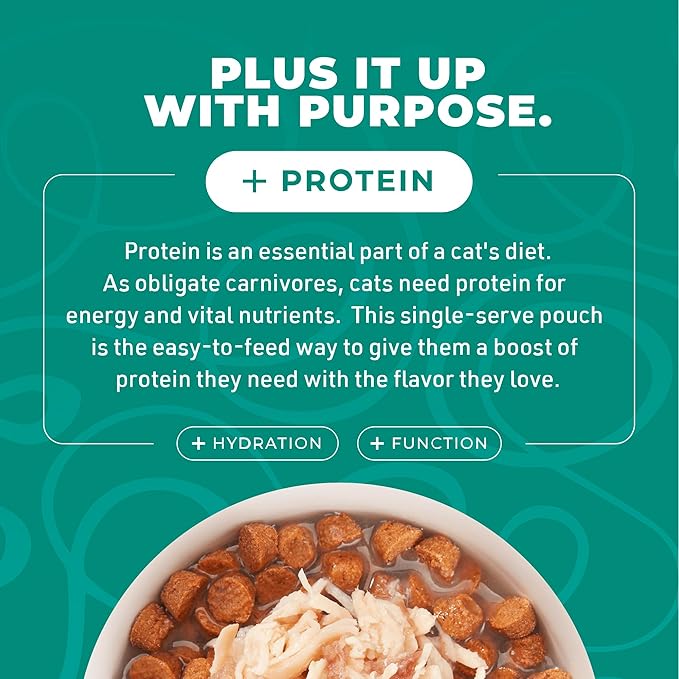 Tiki Cat Born Carnivore Complements Wet Cat Food Topper, Chicken & Salmon 2.1 oz Pouch (12 Count)