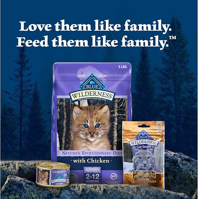 Blue Buffalo Wilderness Kitten Food, High-Protein & Grain-Free Wet Cat Food Paté Variety Pack, Chicken & Salmon Recipes, 3-oz. Cans (6 Count, 3 of Each)