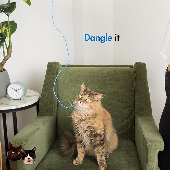 Niko and Oscar's Cat Toys | The Blue String | Cat String Toy | (1-Pack, Chonky, Blue)