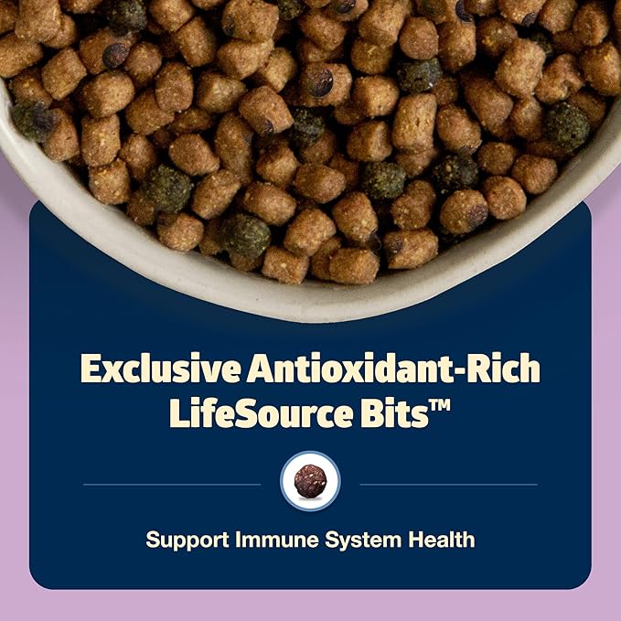 Blue Buffalo Freedom Grain-Free Indoor Dry Kitten Food with DHA, Complete & Balanced Nutrition for Kittens, Chicken Recipe, 5-lb. Bag