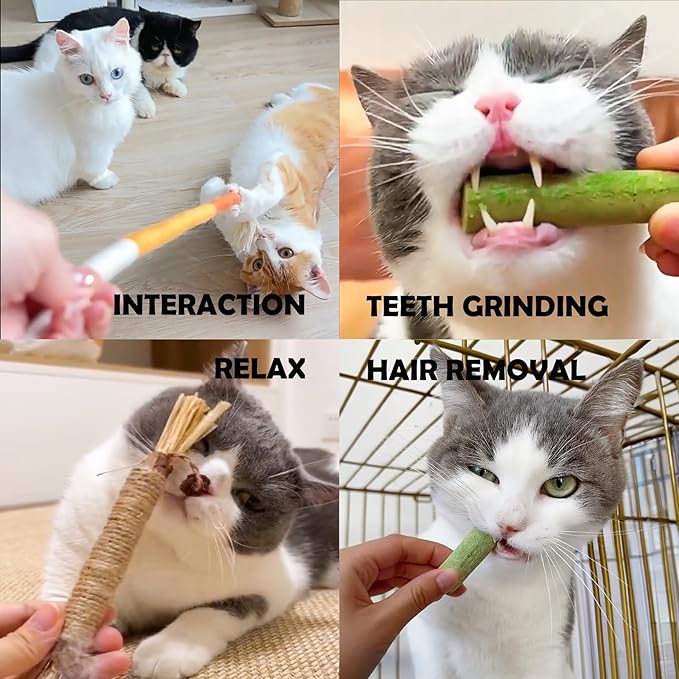 Cat Toys 24Pack Cat Grass Treat Catnip Toy with Silvervine for Indoor Kitten Toys Wood Cat Chew Rope Kitten Grass Stick for Teeth Cleaning Cat Snack for Kitty Cat Nip Dental Care Cat Self Play