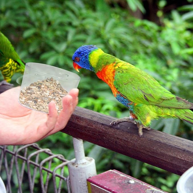 Bird Seed Storage Container,2.8L Airtight Bird Food Container with Handle and Measuring Cup,Portable Pet Food Container for Wild Bird Sunflower Seed-BPA Free Transparent/Blue