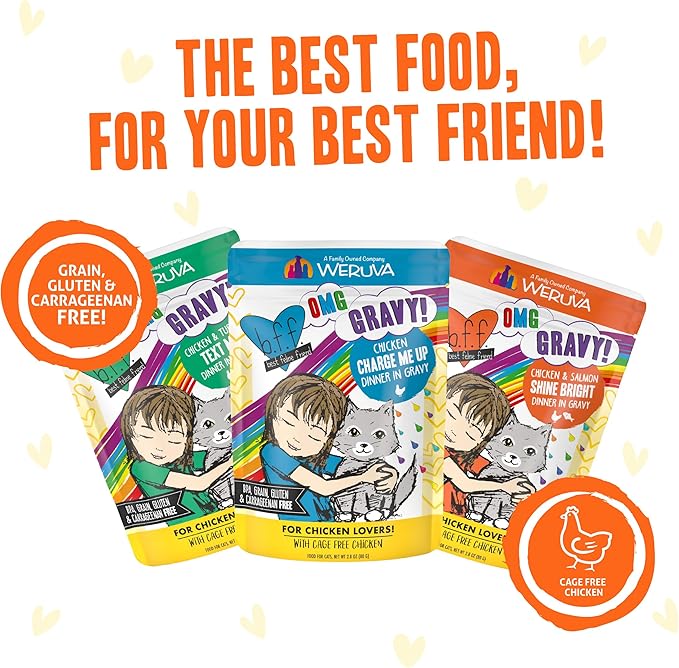 Weruva B.F.F. OMG - Best Feline Friend Oh My Gravy!, Yippy Ki Yay Yellows! Variety Pack, 2.8oz Pouch (Pack of 12)