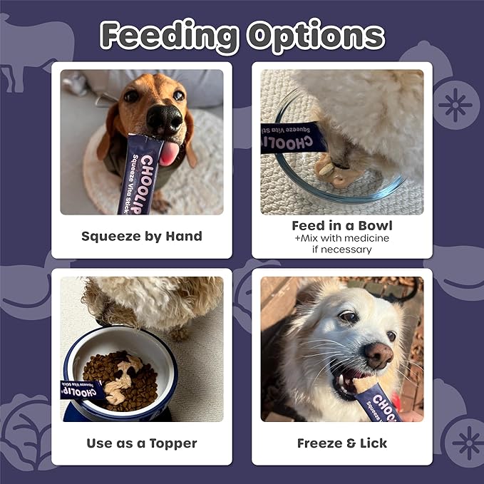 Squeeze Vita Stick Lickable Treats for Dogs & Cats. 49 Brain Support Sticks with Essential multivitamins. Soft and Tasty Paste for All Life Stages, Supporting Brain Health