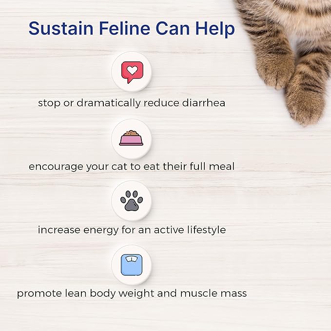Sustain Feline Recovery Food for Cats 400 g