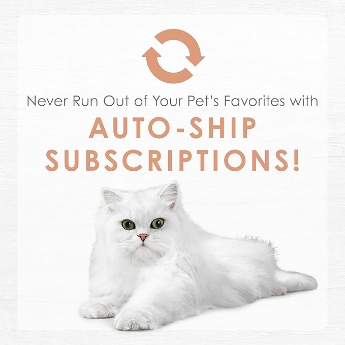 Purina Fancy Feast Lickable Wet Cat Food Broth Topper Complement, Classic With Wild Salmon and Vegetables - (Pack of 16) 1.4 oz. Pouches