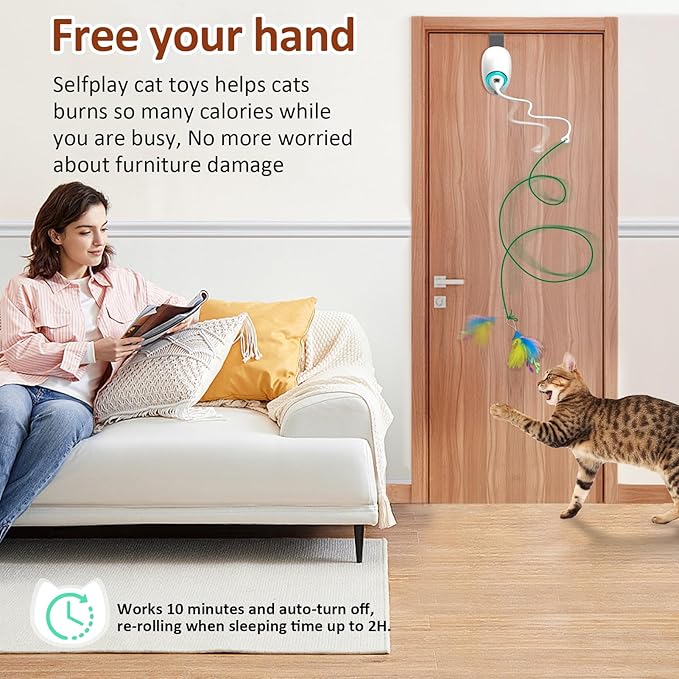 Interactive Toys for Indoor Cats Kitten Play Chase Exercise, Rechargeable Door Hanging Cat Teaser Self Play Feather Cat String Toys