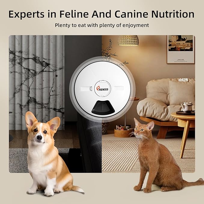 Automatic Cat Feeder, 1L Timed Cat Feeder with Time Setting 24 Hours at Most, Up to 6 Meals, Granary Pet Feeder for Little Cats Little Dogs