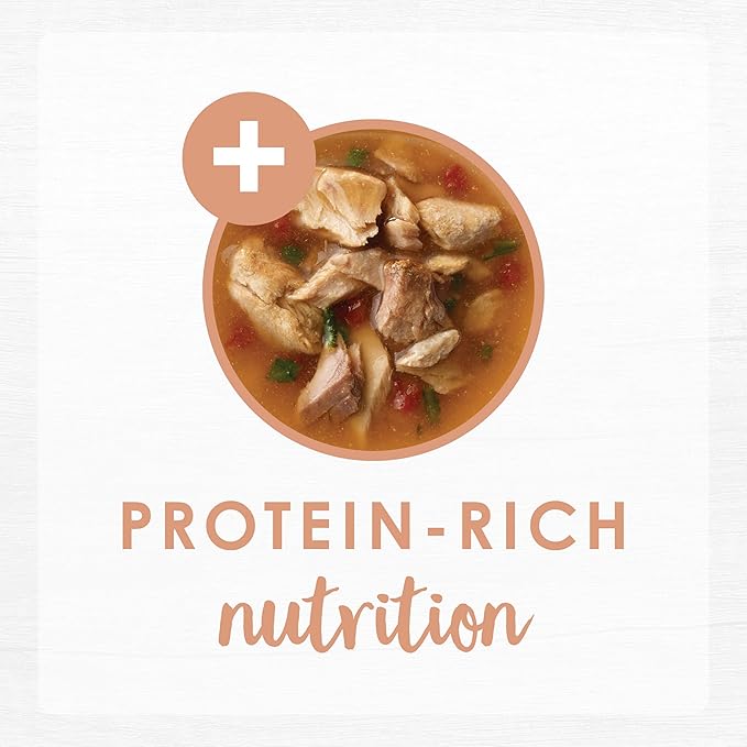 Purina Fancy Feast Lickable Wet Cat Food Broth Topper Complement, Classic With Wild Salmon and Vegetables - (Pack of 16) 1.4 oz. Pouches