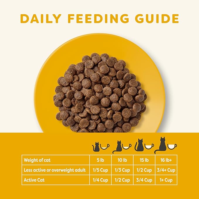 Applaws Complete Dry Cat Food, Grain-Free, Limited Ingredient Food with Added Vitamins & Minerals, Protein, Natural Cat Food, Supports Digestion, Chicken & Salmon (4 Pound Dry Cat Food)