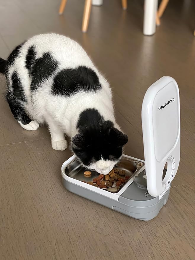 Closer Pets Automatic Timed Feeders with Stainless Steel Inserts (1 Bowl with Stainless Steel Insert)