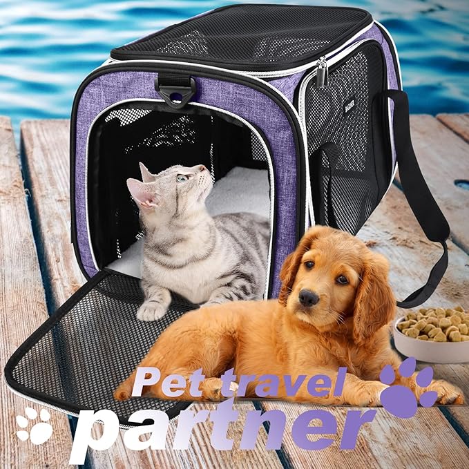 BAGLHER Pet Travel Carrier, Cat Carriers Dog Carrier for Small Medium Cats Dogs Puppies, Airline Approved Small Dog Carrier Soft Sided, Collapsible Puppy Carrier. Purple
