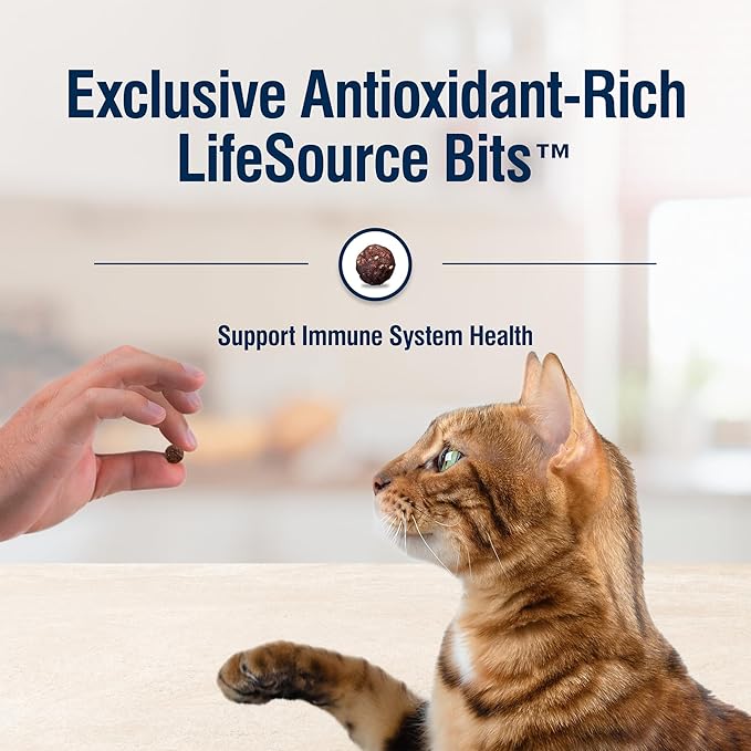 Blue Buffalo True Solutions Perfect Skin & Coat Natural Dry Food for Adult Cats, Salmon, 11-lb. Bag