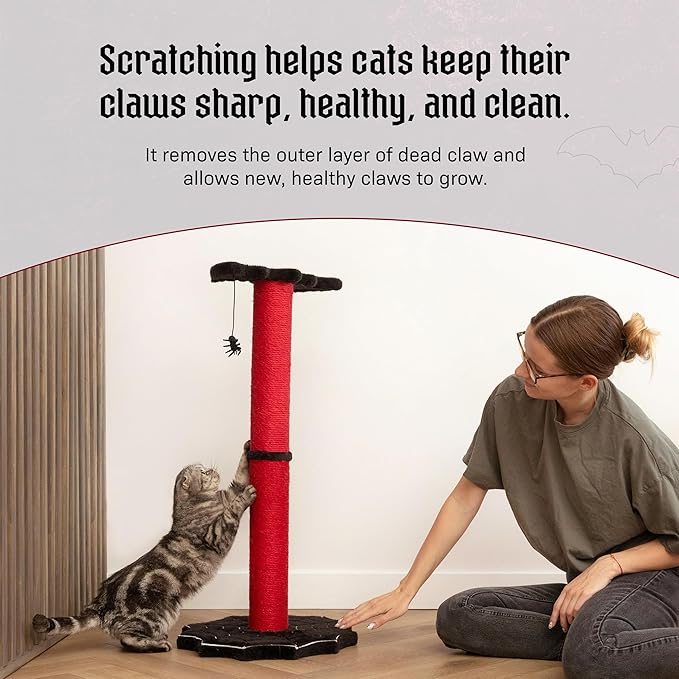 Gothic Cat Scratching Post, 34 inch with Sturdy Spider Web Floor Foundation and Bat Shaped Top with Spider Toy, Halloween Cat Scratcher, Cat Scratchers for Indoor Cats, Black and Red from Littlesy
