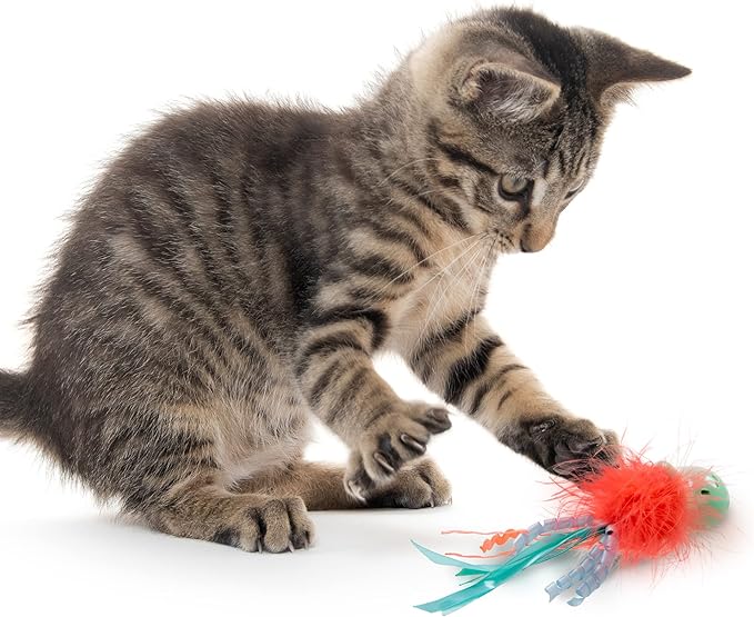 Petlinks Jolly Jelly Soft Touch Wobble Cat Toy - Multi Color, One Size