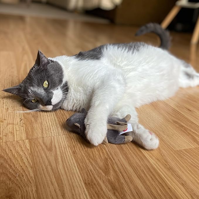 SPOT Flat Mouse Frankie with Catnip - Cat Toy, Fuzzy Mice with Catnip and Crinkle Sound, Perfect Size for Pouncing on, Chasing, Hunting - 5.5in Plush Toys, Assorted Colors