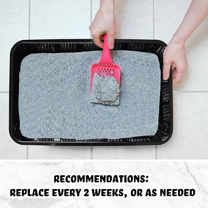 60 Pack Disposable Litter Boxes for Cats Litter Tray for Small Pets Kitten Plastic Litter Box Disposable Cat Litter Trays Recyclable Plastic Litter Box for Pet Travel, Black, 16.7 x 10.5 x 3.4 Inch