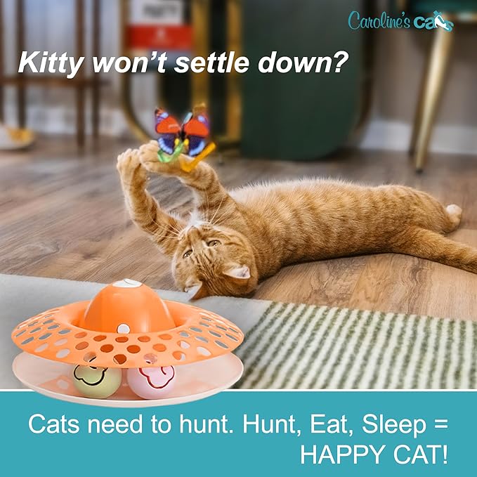 Caroline's Cats Automatic Butterfly Cat Toy – Interactive 2 in 1 with Auto Shut Off & Catnip Ball Track; Recommended Electric Exercise & Enrichment Game