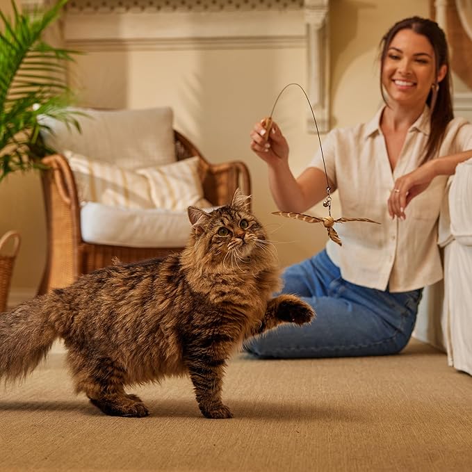 NUTRO Grain Free Natural Wet Cat Food Cuts in Gravy Beef Recipe, 2.64 oz. PERFECT PORTIONS Twin-Pack Trays, Pack of 24