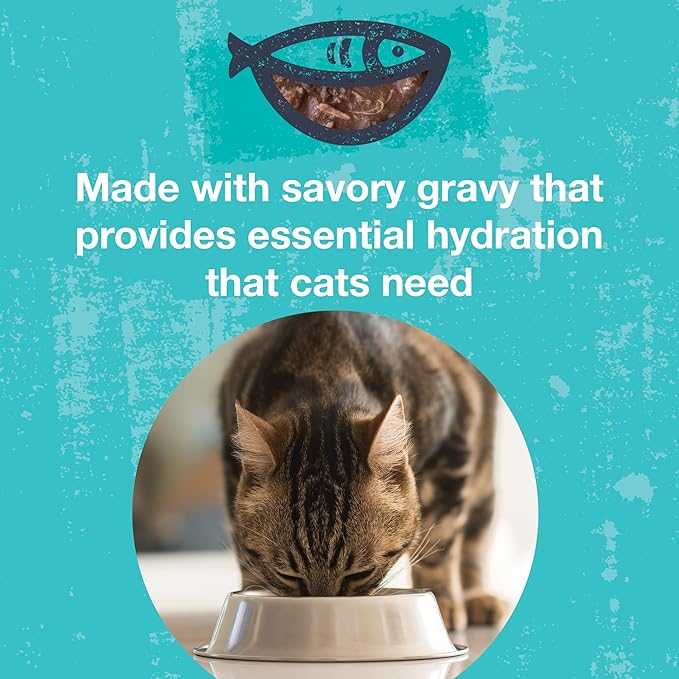 KOHA Pet Food Poké Bowl Cat Variety Pack, Wet Cat Food in Gravy - 5 Flavors - Tuna Combinations of Salmon, Chicken, Duck, Shrimp, and More - 3 oz Pouches, Pack of 12