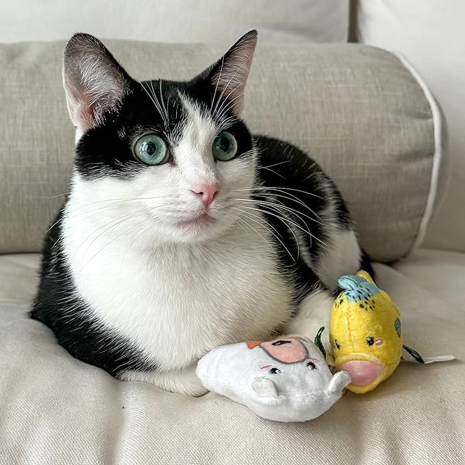 Stuffed Animal Cat Toy | Mahi and Polar Bear Mixed Bundle | Value 2-Pack for Indoor Cats | Cute Interactive Plush Toys | Made of Eco-Friendly Materials - Go Green!