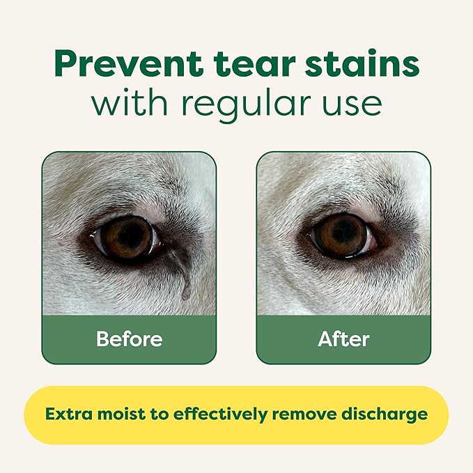 Earth Rated Pet Eye Wipes, Hypoallergenic Cleaner for Dogs & Cats Eyes to Remove Dirt & Discharge, Fragrance Free, 70 Count