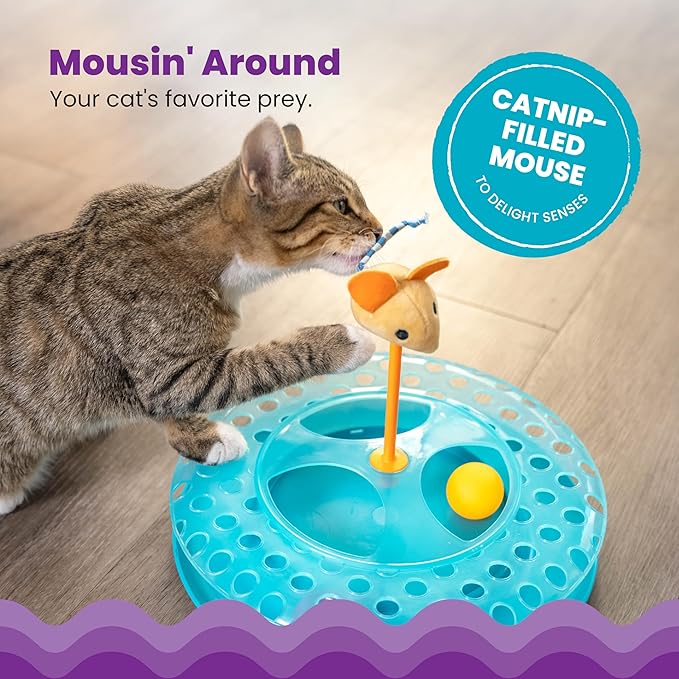 Catstages Cheese Chase Catnip Interactive Cat Track Toy