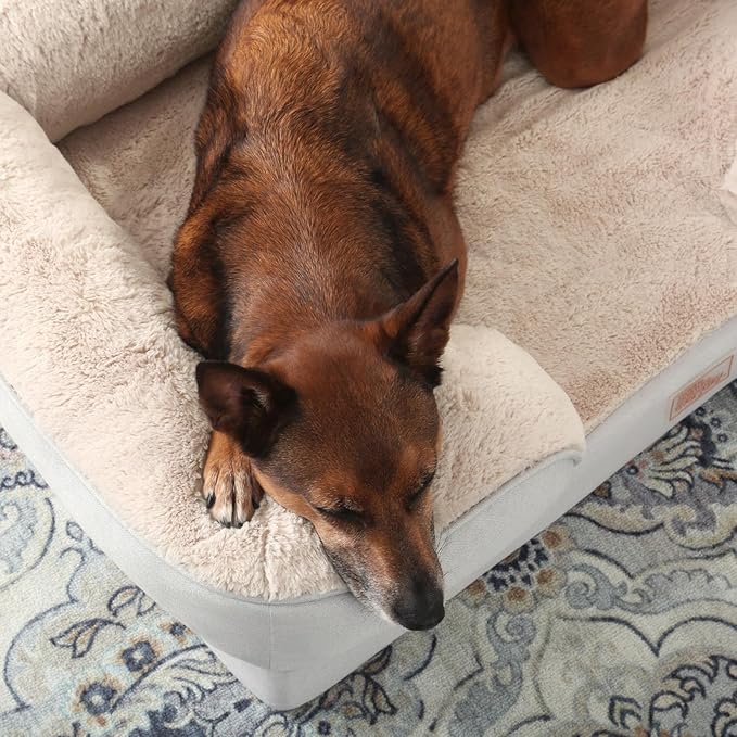 TOWN & COUNTRY EVERYDAY CuddleTown Comfy Solid Bolster Sofa Pet Bed, Supportive & Calming Egg Crate Foam, Water Repellent, Non-Slip Bottom, Machine Washable Cover, Grey, Medium 28"x23"x8"