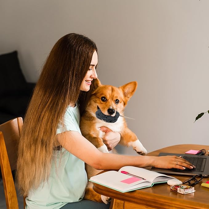 Vaulted Skulls & Co Mouse Dog Toy 7" | Mouse Stuffed Animal Small | Fluffy Mouse Small Dog Toy | Cat Mouse Toy | Small Mouse Plush Dog Toy | Mouse Toy for Cats | Squeaker-Free | Gray | 7"