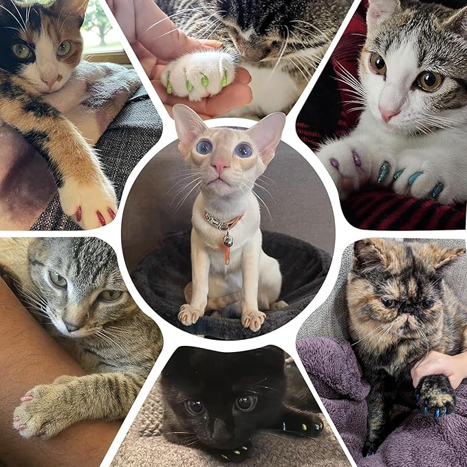 16x Glitter Colors / 160 pcs | Cat Nail Caps | Cat Claw Covers with Adhesives and Applicators (L)