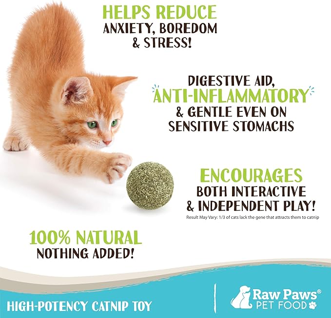 Raw Paws Catnip Balls for Cats, 6 (Pack) - Natural Catnip Ball Toy - Interactive Cat Toy for Indoor Cats - Cat Nip Balls - Catnip Licking Balls for Cats - Catnip Balls for Indoor Cats
