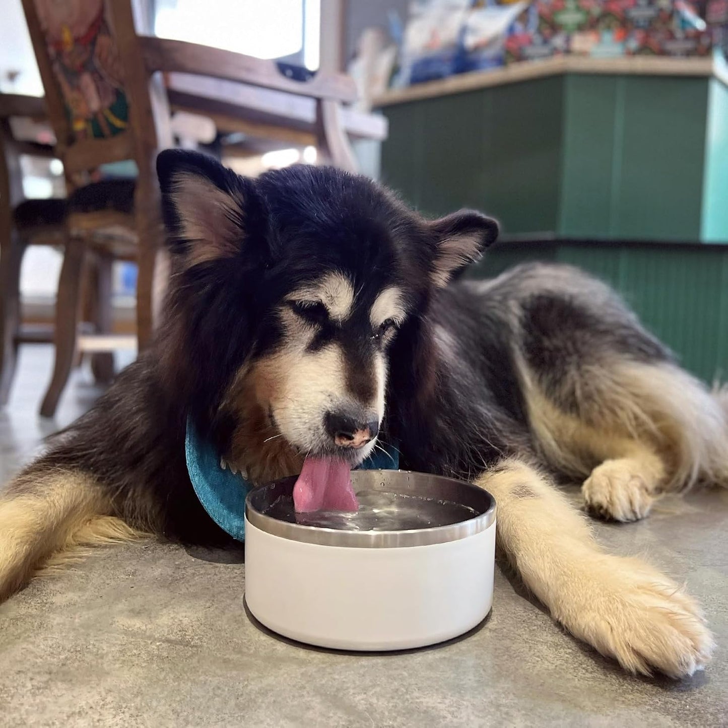 IKITCHEN Dog Bowl for Food and Water, 40 Oz Stainless Steel Pet Feeding Bowl, Durable Non-Skid Double Wall Insulated Heavy Duty with Rubber Bottom for Medium Large Dogs (40 Ounces/5 Cup, White)