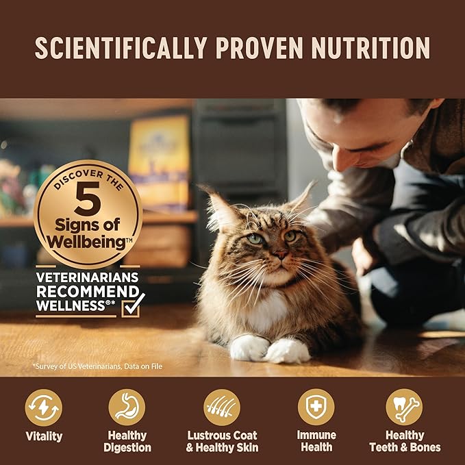 Wellness CORE Tiny Tasters Wet Cat Food, Complete & Balanced Natural Pet Food, Made with Real Meat, 1.75-Ounce Pouch, 12 Pack (Adult Cat, Flaked Tuna & Shrimp)