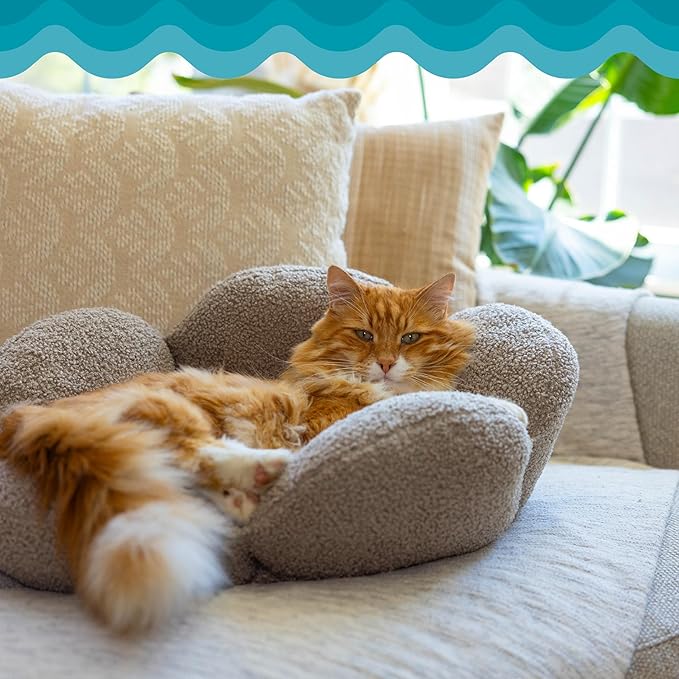 Catstages Purrfect Petals Washable Flower Shaped Round Cat Bed for Indoor Cats, Plush, Tan