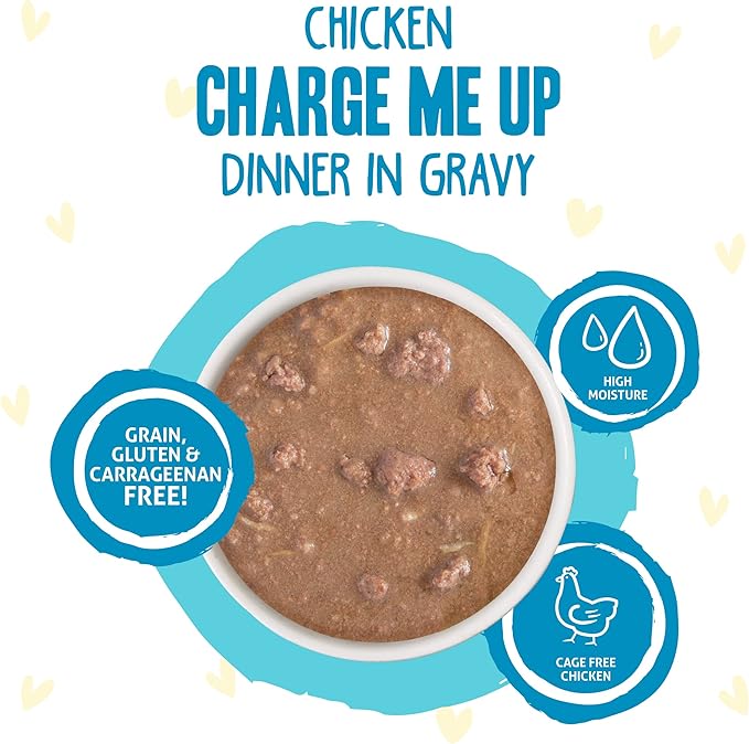 Weruva B.F.F. OMG - Best Feline Friend Oh My Gravy!, Chicken Charge Me Up with Chicken in Gravy, 2.8oz Pouch (Pack of 12)