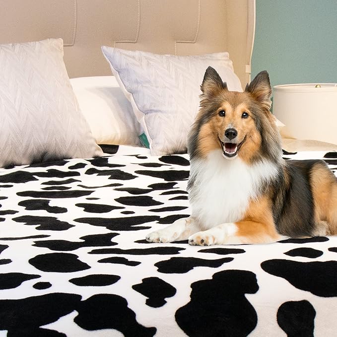 Fleece Cow Print Blanket Queen Size, Bed Blanket Soft Fuzzy Cozy Lightweight Cow Throws Warm Blankets Plush Gift Cow Home Decor 90" x 90"