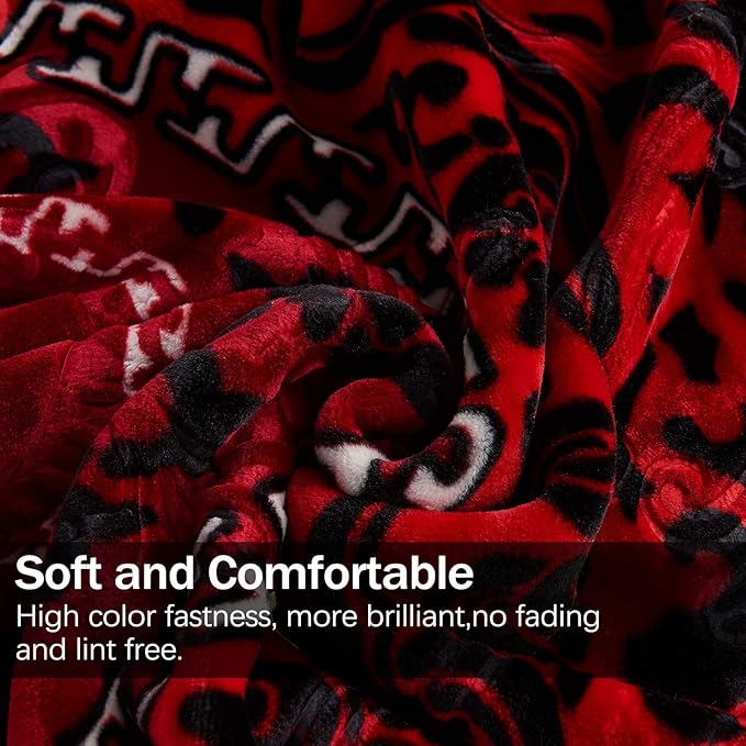 JML Fleece Blanket King Size, Heavy Korean Mink, 85 X 95 Inches, 9 Lbs, Soft and Warm, Thick Raschel Printed Mink Blanket for Autumn, Winter, Bed, Home, Gifts, Printed Pattern