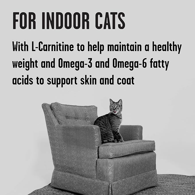 BIXBI Rawbble Dry Food Chicken Salmon Recipe for Indoor Cats, 3lb