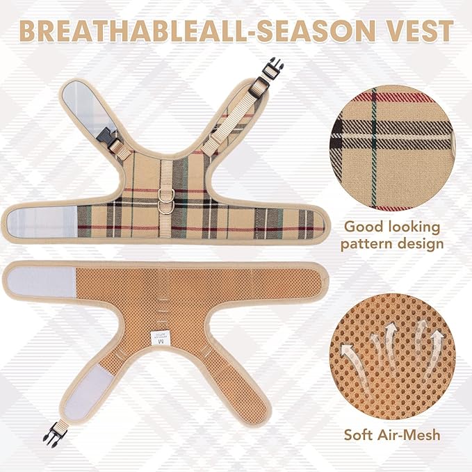 BINGPET Cat Harness and Leash Escape Proof - Soft and Air-Mesh Kitten Travel Walking Harness - Vest Harness for Small Medium Large Cats & Puppy Dog & Rabbit