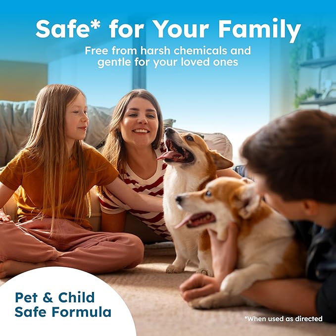 BugMD Enzyme Cleaner & Odor Eliminator for Strong Odor (32oz) - Pet Stain Remover for Carpet, Upholstery, Hardwood, Dog & Cat Urine - Powerful Deodorizer for Home, Floors, Furniture, & Carpet Cleaning