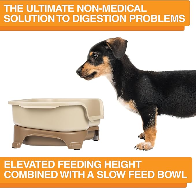Neater Feeder Express Mess Proof Dog Bowls Elevated for Small Breed – Made in USA – No Spill Raised Slow Feeder Elevated Dog Bowl Stand, Stainless Steel Food and Water Bowl Set, Cappuccino