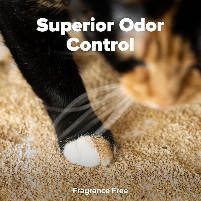 All Walks Plant Based Hemp Kitty Litter | 10 lb Bag | Super Clumping | Fragrance Free Kitty Litter | Odor Control for Cats