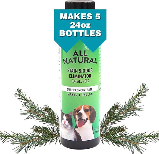 All Natural Stain & Urine Odor Eliminator Pet Enzyme Cleaner. Makes 1 Gallon. Dog & Cat Pee Smell Remover. Best Spray for Carpet, Hardfloor, Mattress, Turf, Kennel, Dog Bed, Concrete, Etc
