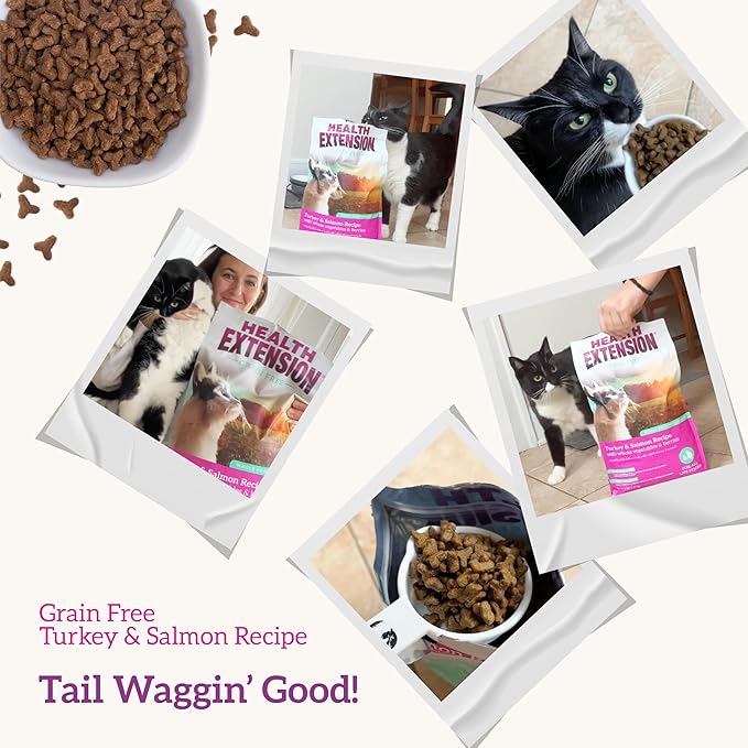 Health Extension Dry Cat Food, (15 lb / 6.8 kg) - Turkey & Salmon Recipe with Whole Vegetables, Berries, Added Vitamins & Minerals, Suitable for All Cats & Kittens