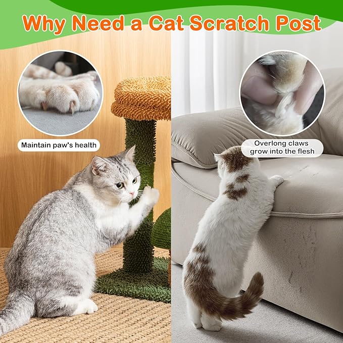 Cactus Cat Scratching Posts for Indoor Cats, Sisal Cat Scratcher with Play Ball, 20”Small Cat Tree Tower and Mushroom Scratch Post for Kitten, Green