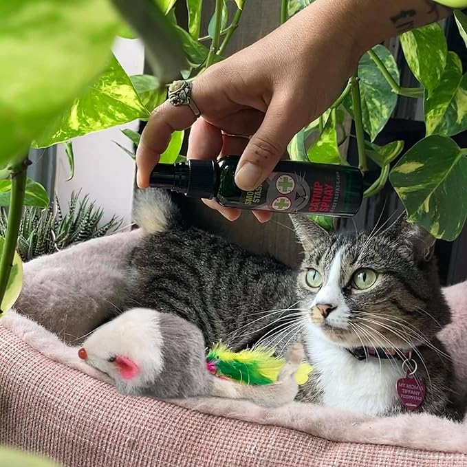 Smokey's Stash Gray and White Faux Fur Cat Mice Toy 12 Per Pack Multi Color Realistic Interactive Small Mouse with Rattle and Catnip Safe for Adult Cats and Kittens