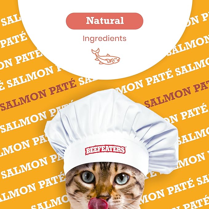 Beefeaters Cat Treats - Salmon Pate 3oz, Case of 24 | Nutrient-Rich Wet Cat Food, Essential Vitamins & Taurine, No Artificial Additives | Supports Immune System & Vision | Training Treats