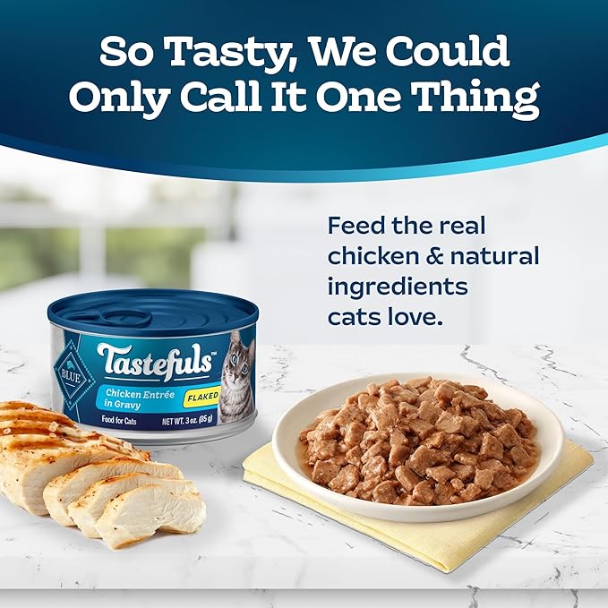 Blue Buffalo Tastefuls Natural Flaked Wet Cat Food, Chicken Entrée in Gravy 3-oz cans (Pack of 24)