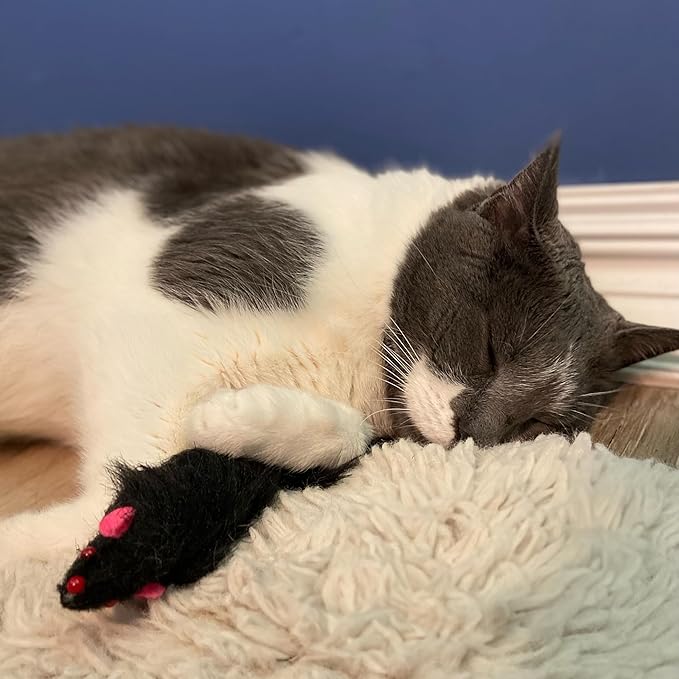 SPOT Ethical Shaggy Plush Ferret with Rattle and Catnip Cat Toy